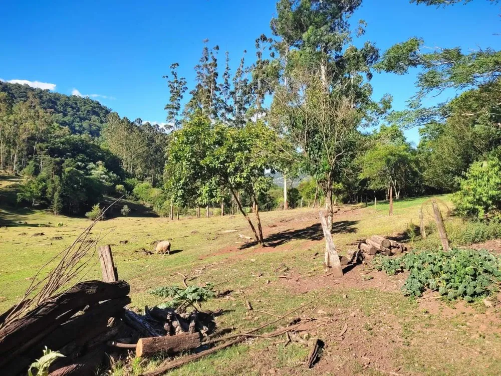 Sítio, 3 quartos, 28 hectares - Foto 6