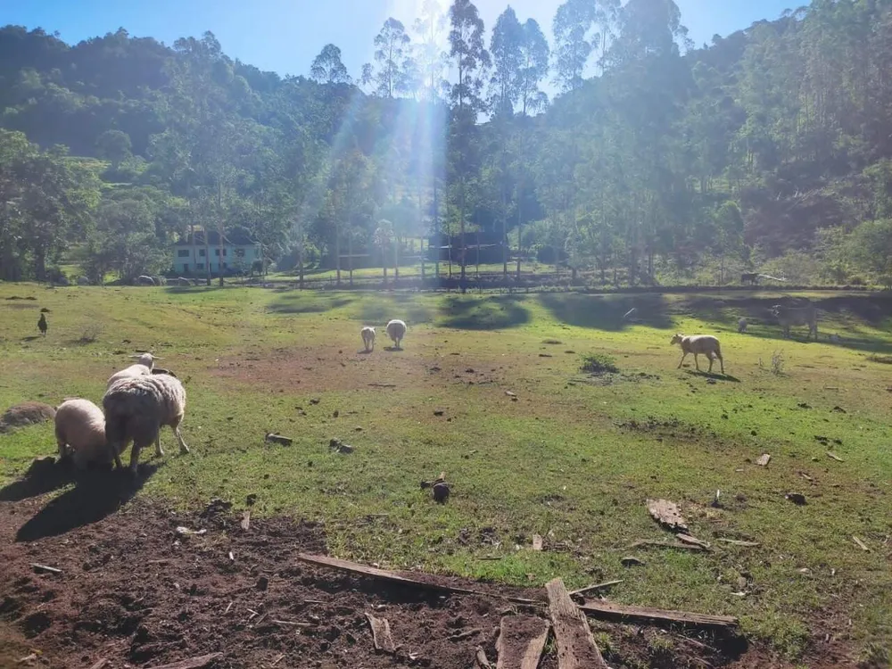 Sítio, 3 quartos, 28 hectares - Foto 12