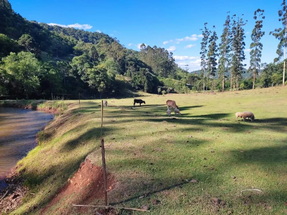 Sítio, 3 quartos, 28 hectares - Foto 10