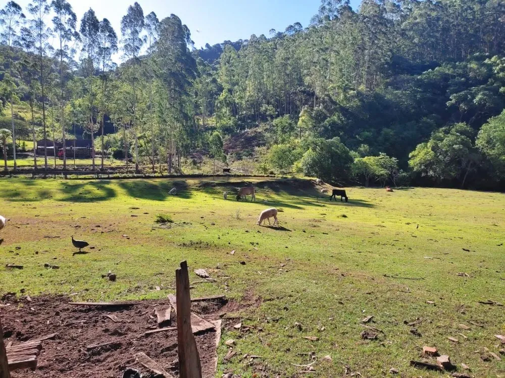 Sítio, 3 quartos, 28 hectares - Foto 8