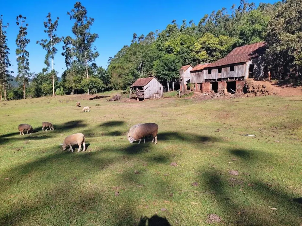 Sítio, 3 quartos, 28 hectares - Foto 7