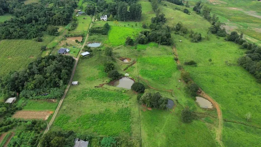 Sítio, 4 hectares - Foto 3