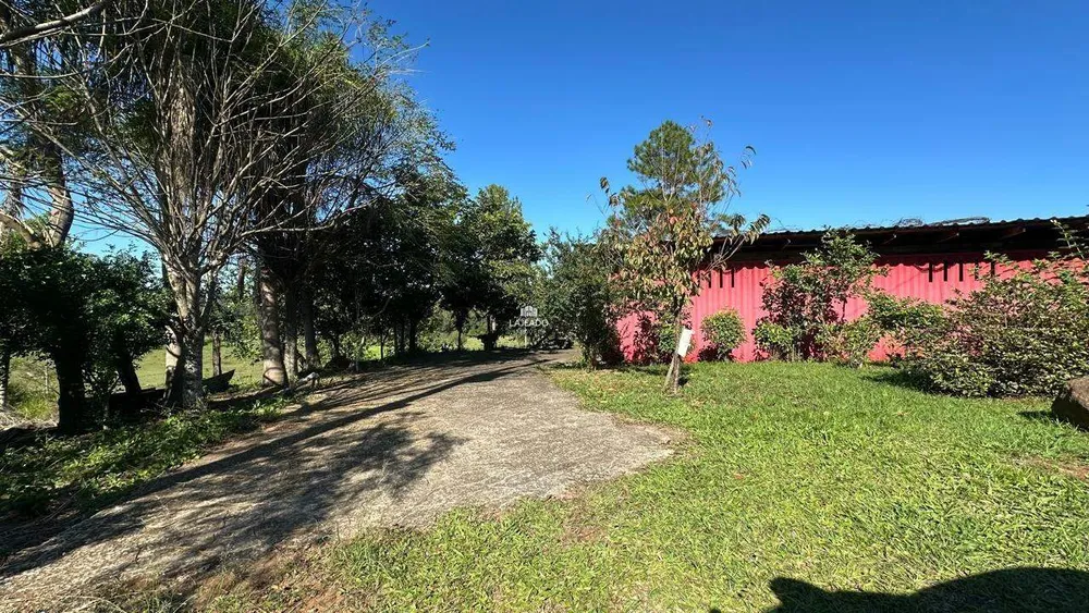 Sítio, 4 hectares - Foto 14