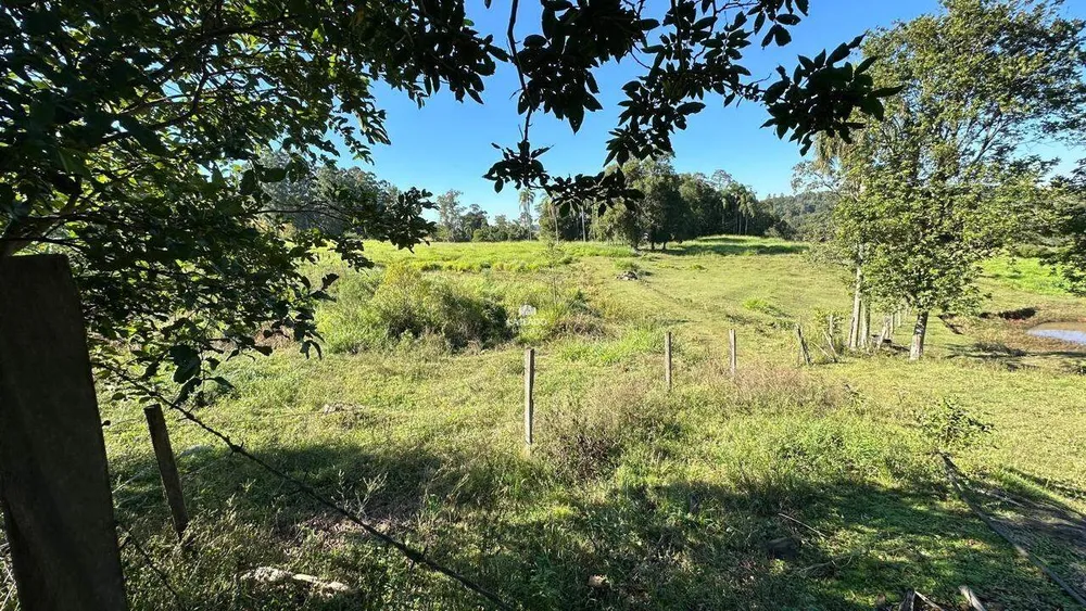 Sítio, 4 hectares - Foto 12