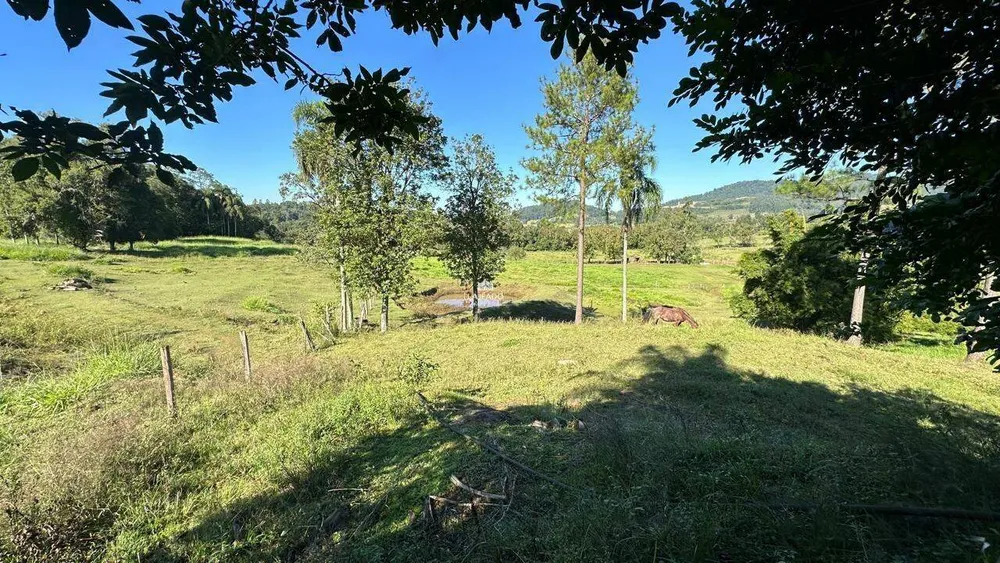 Sítio, 4 hectares - Foto 10