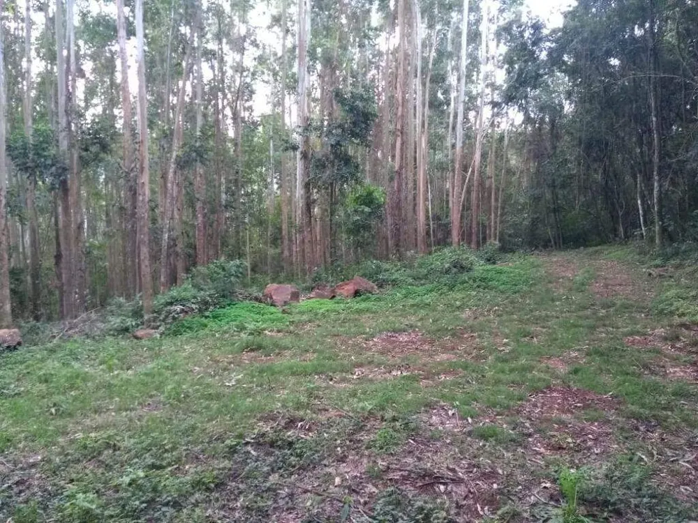 Terreno, 9 hectares - Foto 1
