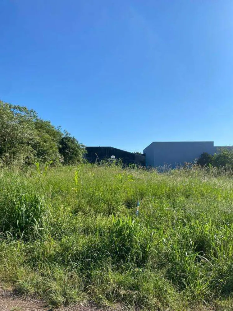 Terreno, 453 m² - Foto 4