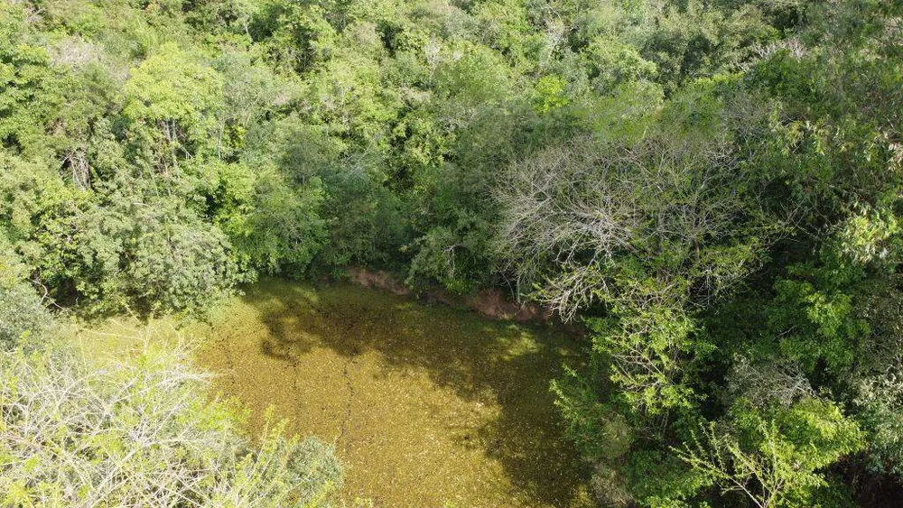 Terreno, 8 hectares - Foto 11