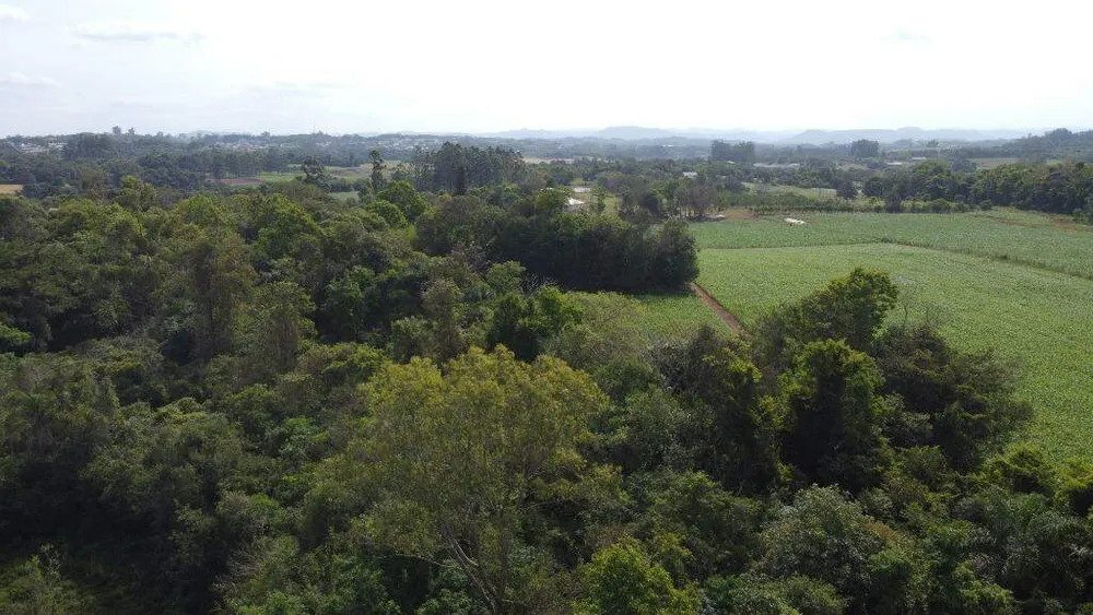 Terreno, 8 hectares - Foto 9