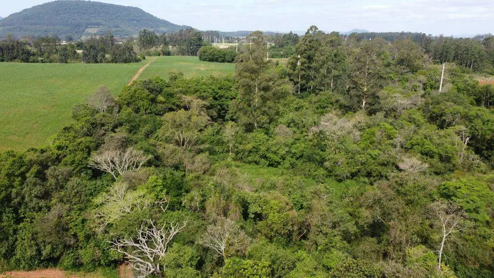 Terreno, 8 hectares - Foto 2