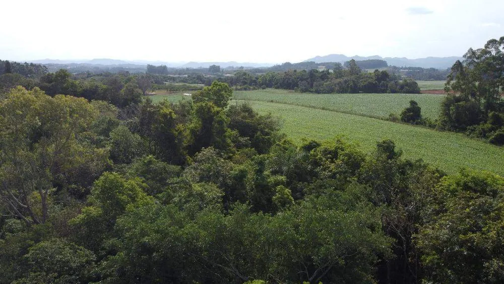 Terreno, 8 hectares - Foto 4