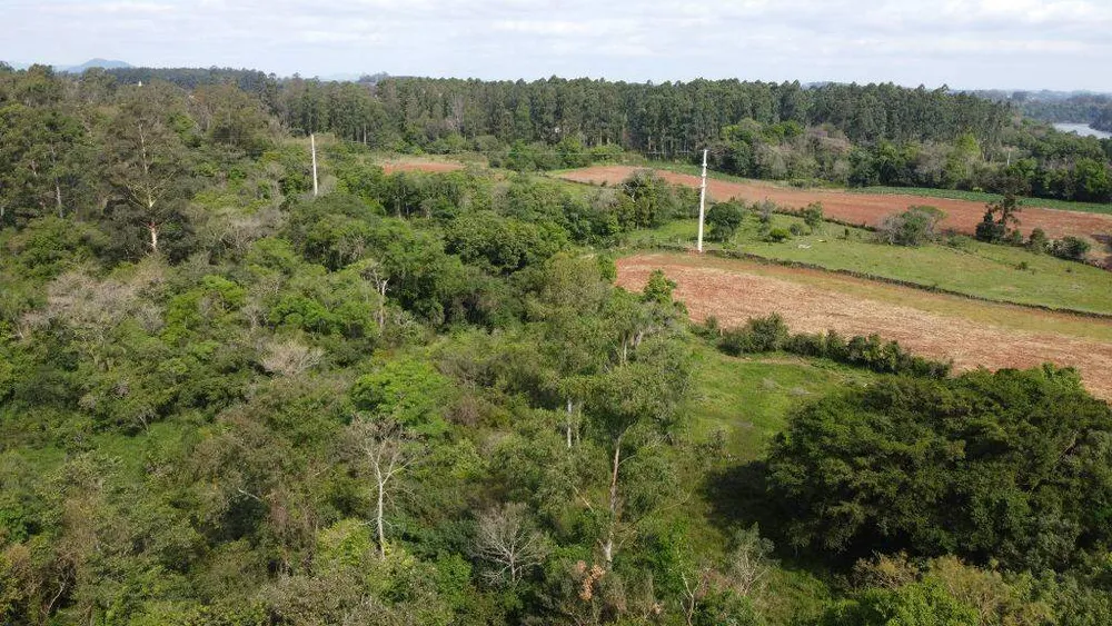 Terreno, 8 hectares - Foto 7