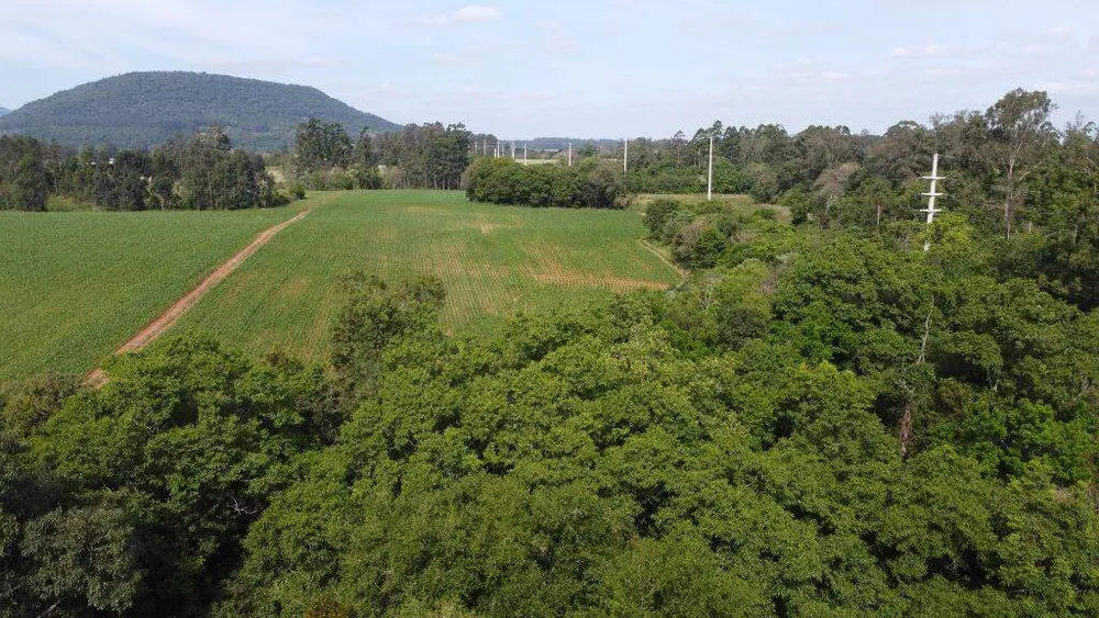 Terreno, 8 hectares - Foto 3