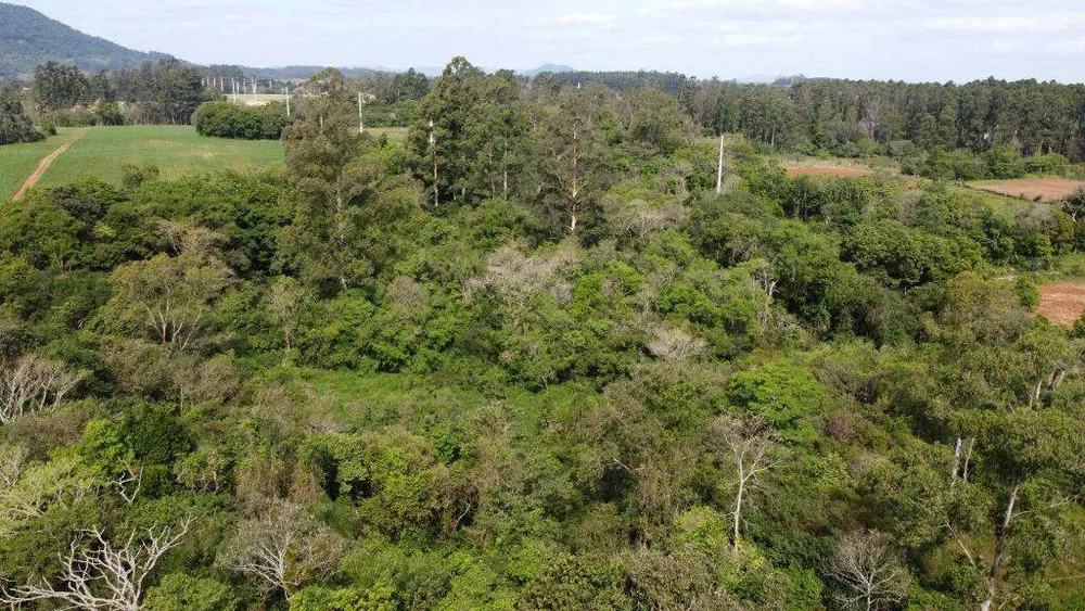 Terreno, 8 hectares - Foto 8