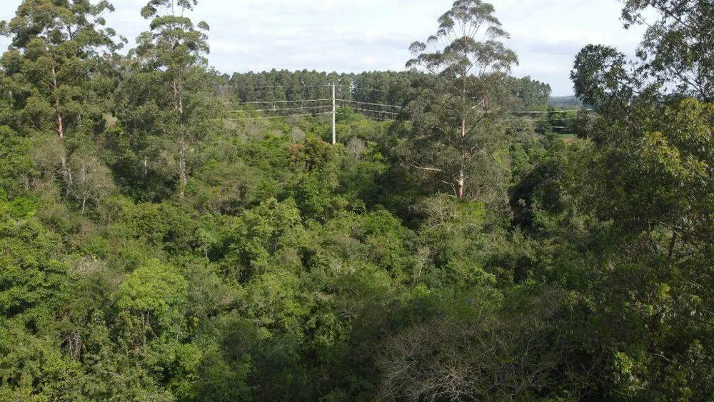 Terreno, 8 hectares - Foto 1