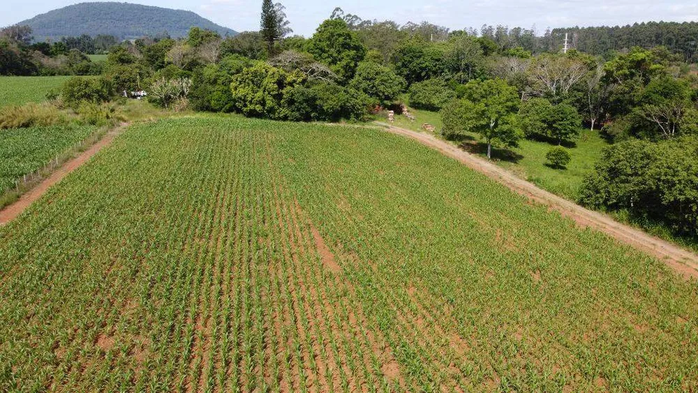 Terreno, 8 hectares - Foto 10