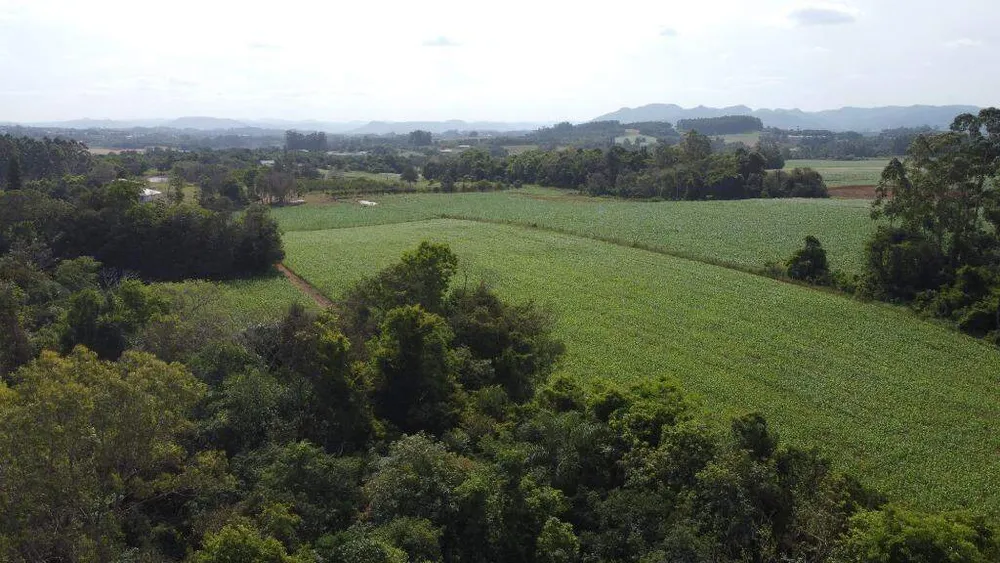 Terreno, 8 hectares - Foto 6