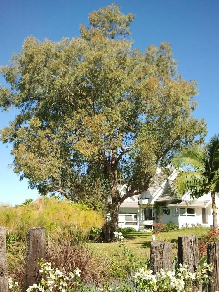 Casa, 4 quartos, 300 m² - Foto 15