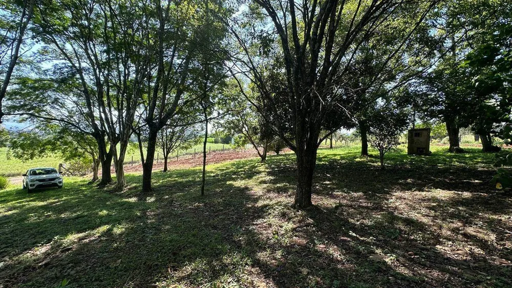 Chácara, 2 quartos, 8850 m² - Foto 16