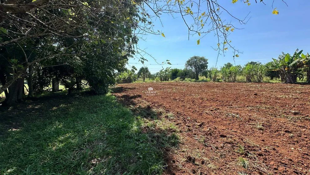 Chácara, 2 quartos, 8850 m² - Foto 8
