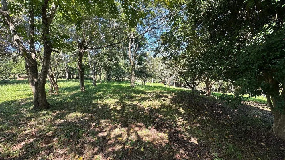 Chácara, 2 quartos, 8850 m² - Foto 11
