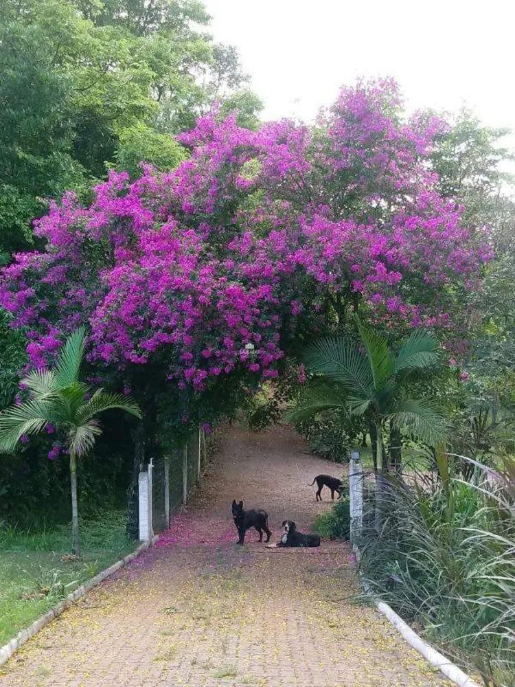 Sítio, 3 quartos - Foto 5