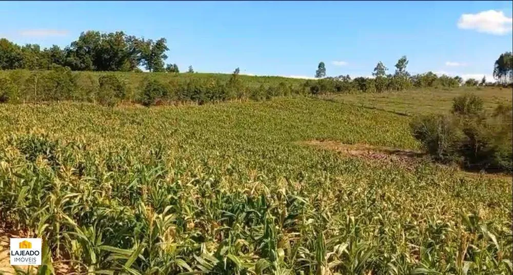 Chácara - Foto 6