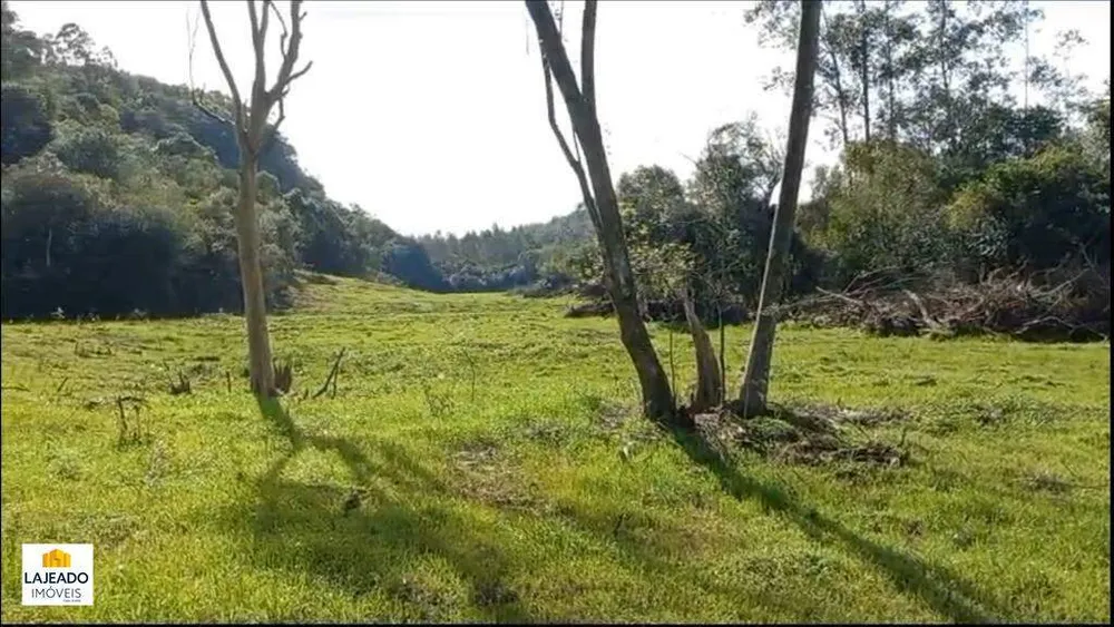 Sítio - Foto 6