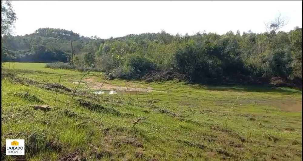Sítio - Foto 5