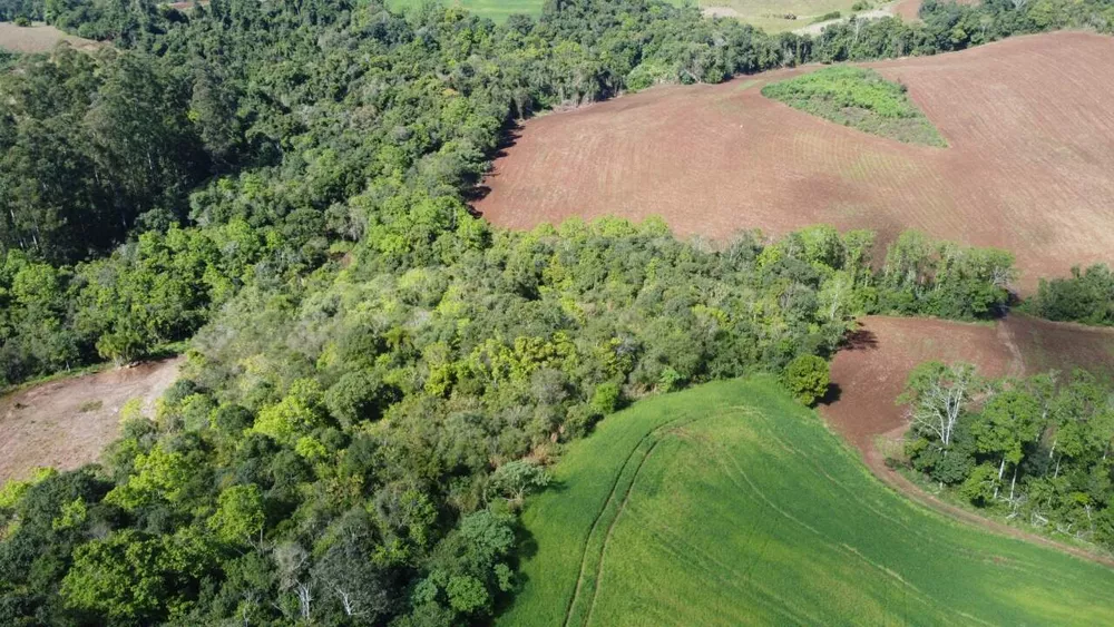 Terreno à venda, 14956m² - Foto 8