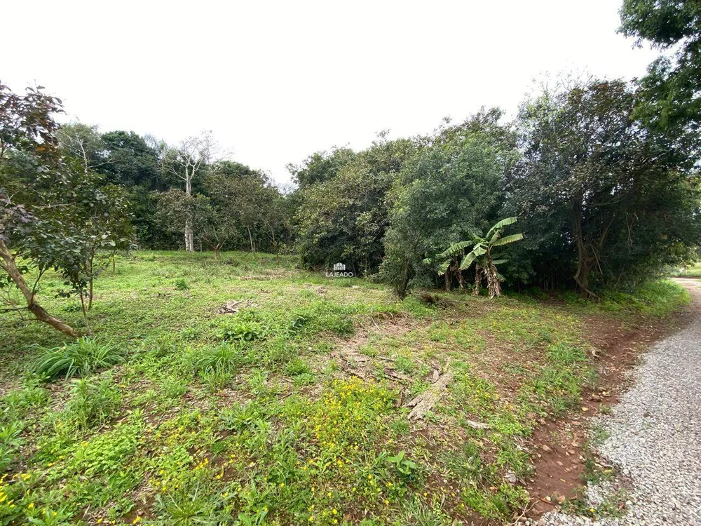 Sítio, 2 quartos, 2670 m² - Foto 14