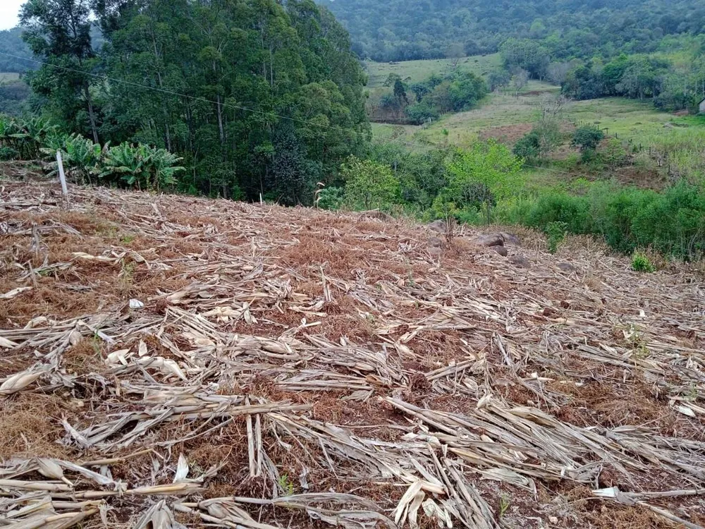 Terreno, 1 hectares - Foto 8