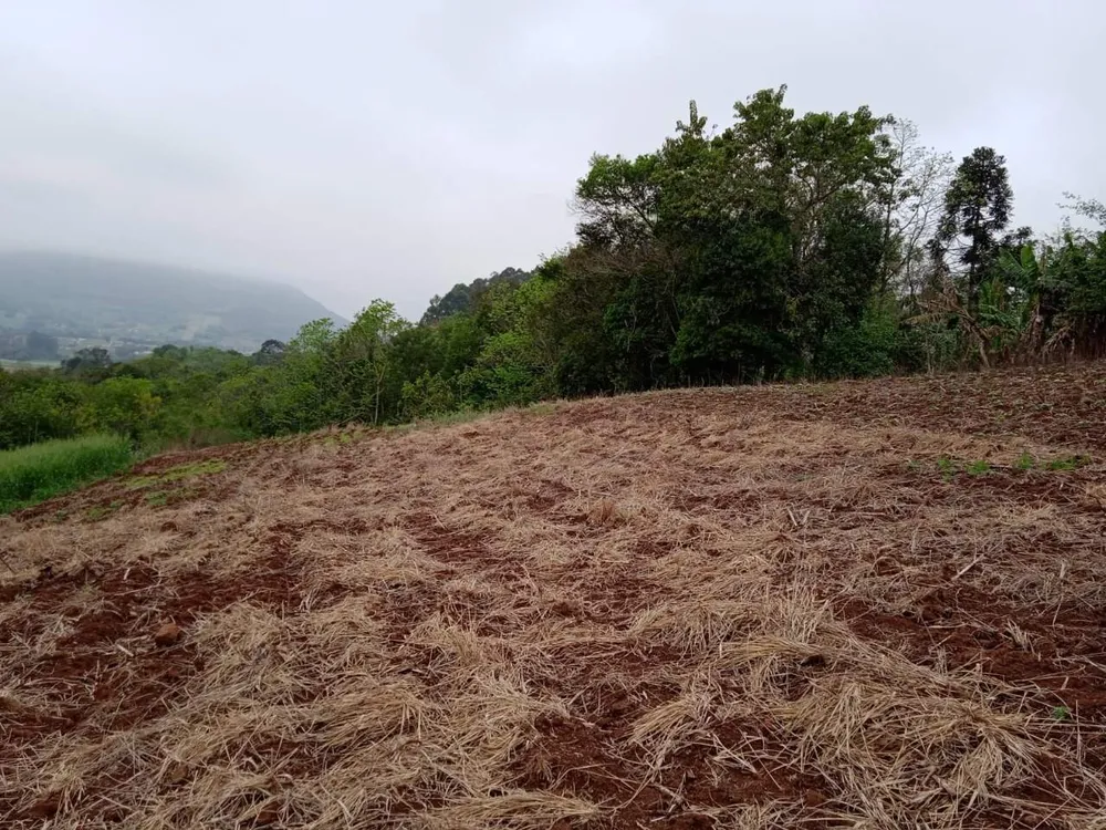 Terreno, 1 hectares - Foto 12