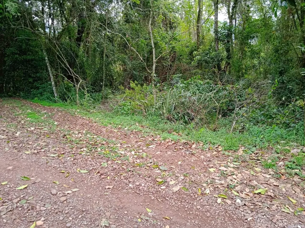 Terreno, 1 hectares - Foto 9