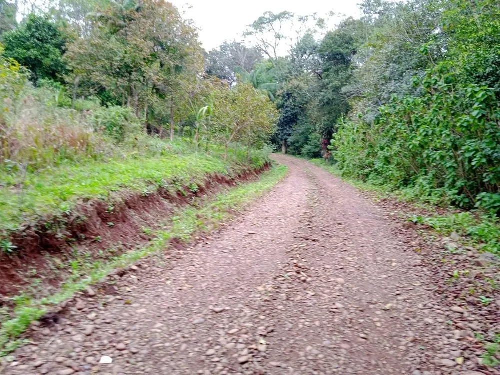 Terreno, 1 hectares - Foto 10