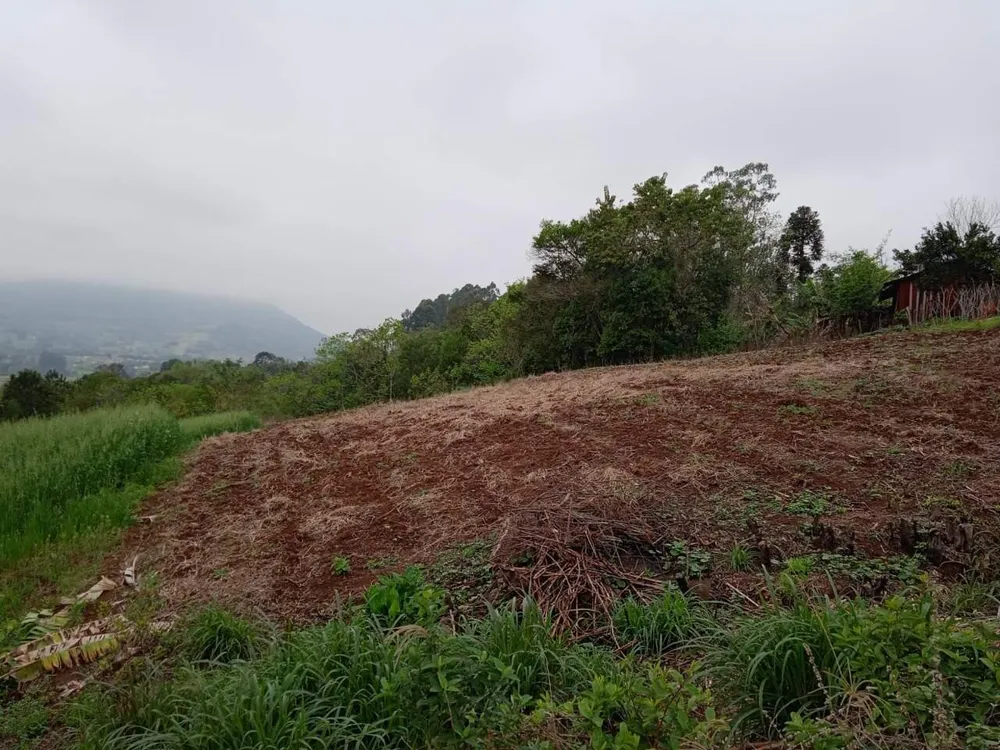Terreno, 1 hectares - Foto 7