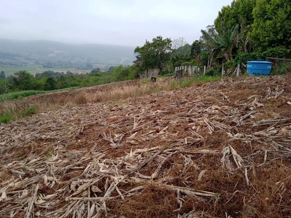 Terreno, 1 hectares - Foto 11