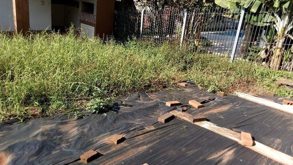 Casa, 3 quartos, 230 m² - Foto 13