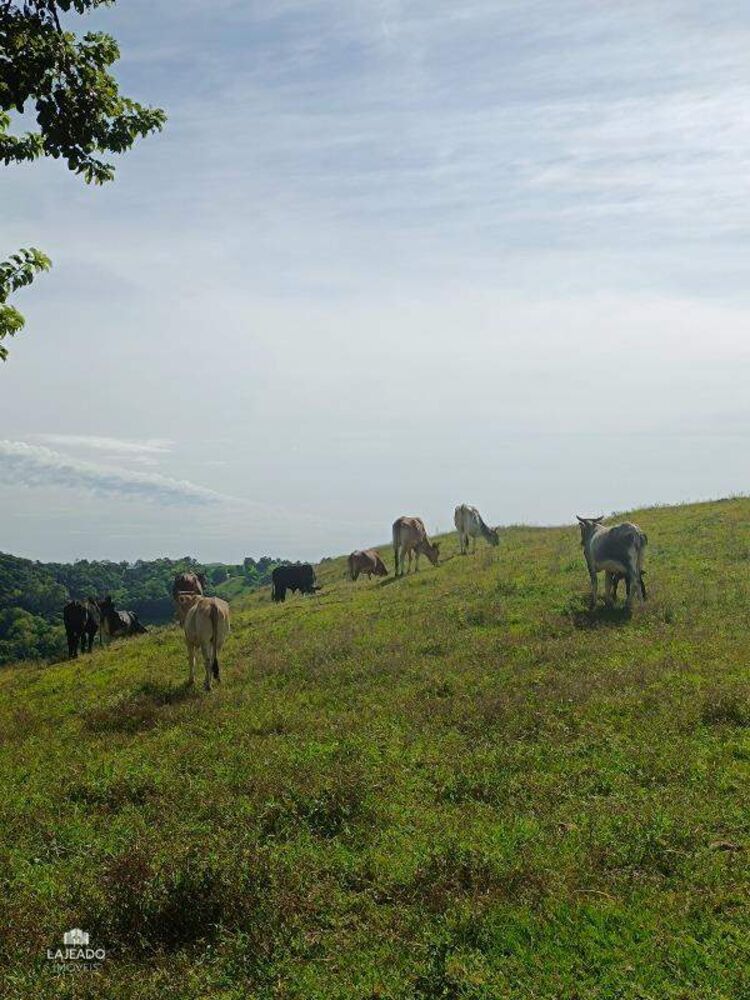 Chácara, 2 quartos - Foto 3