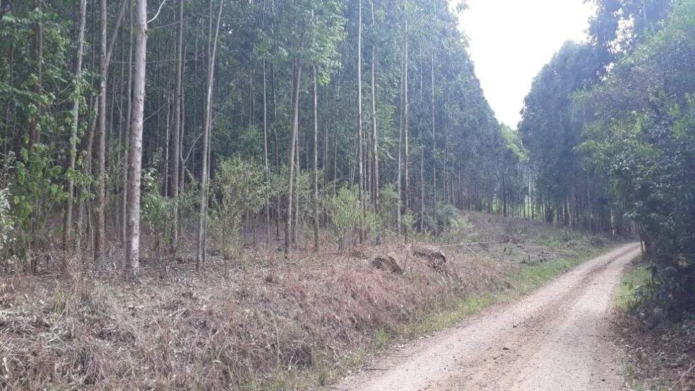 Terreno, 12 hectares - Foto 1