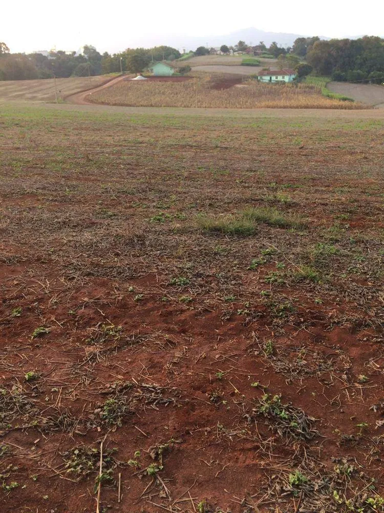 Terreno, 1596 m² - Foto 1