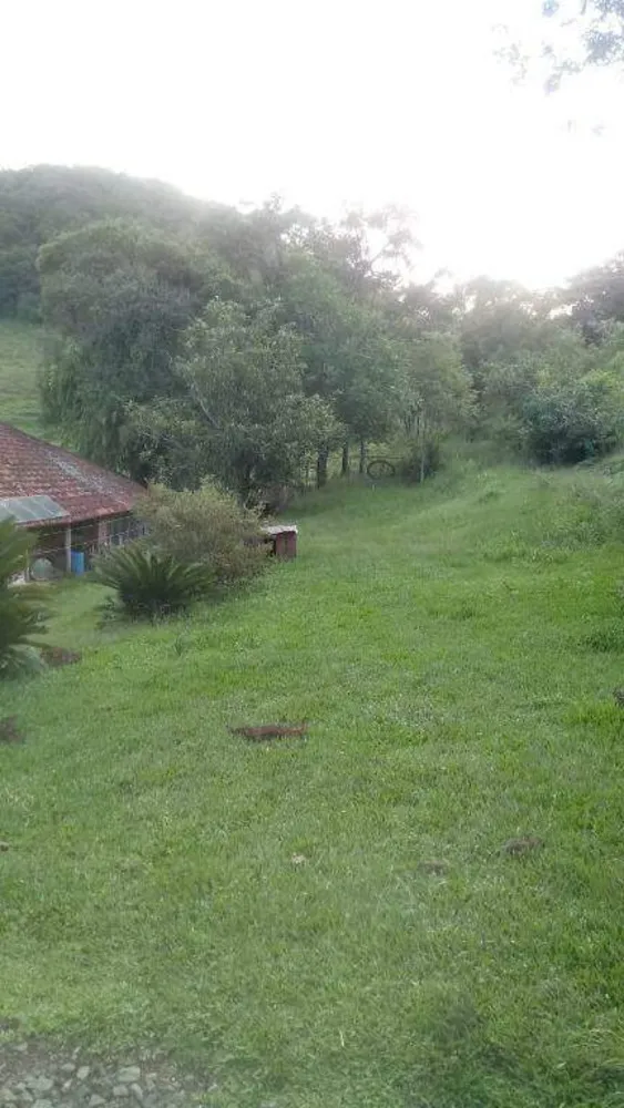 Sítio, 2 quartos, 12 hectares - Foto 10