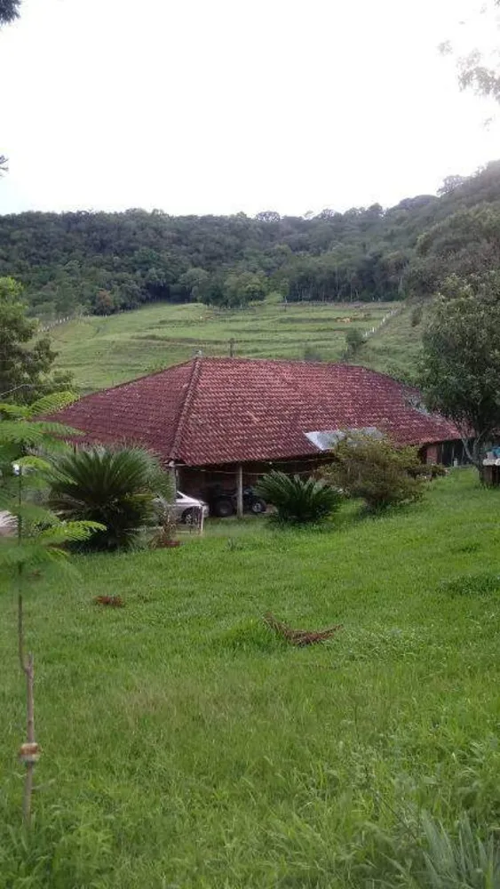 Sítio, 2 quartos, 12 hectares - Foto 9