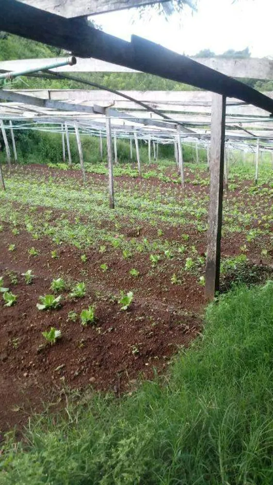 Sítio, 2 quartos, 12 hectares - Foto 7