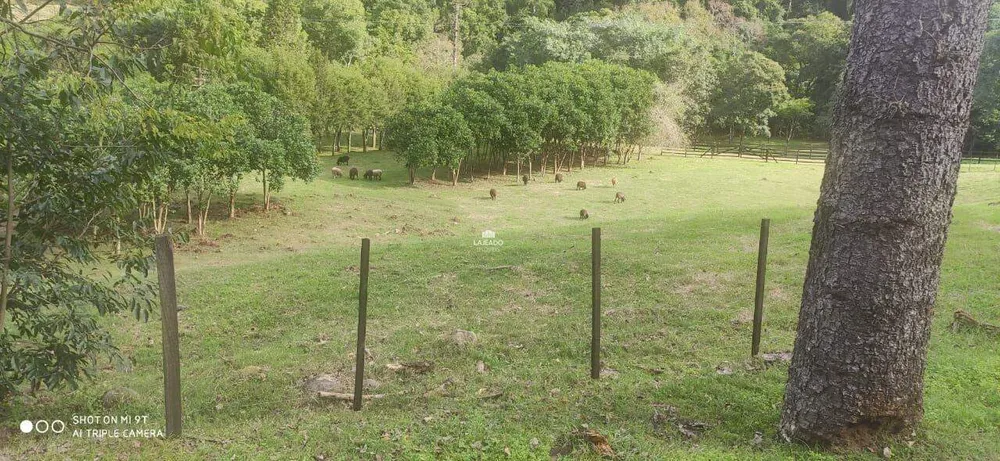 Sítio, 2 quartos - Foto 3