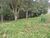 Terreno, 360 m² - Foto 2
