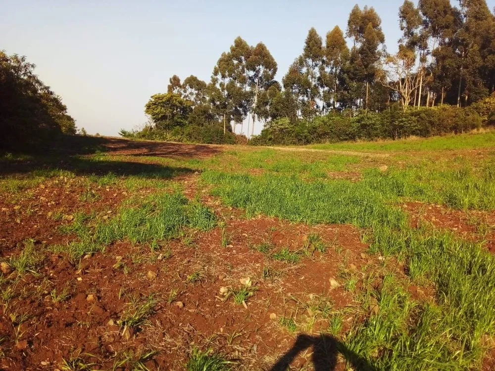 Terreno, 8 hectares - Foto 3