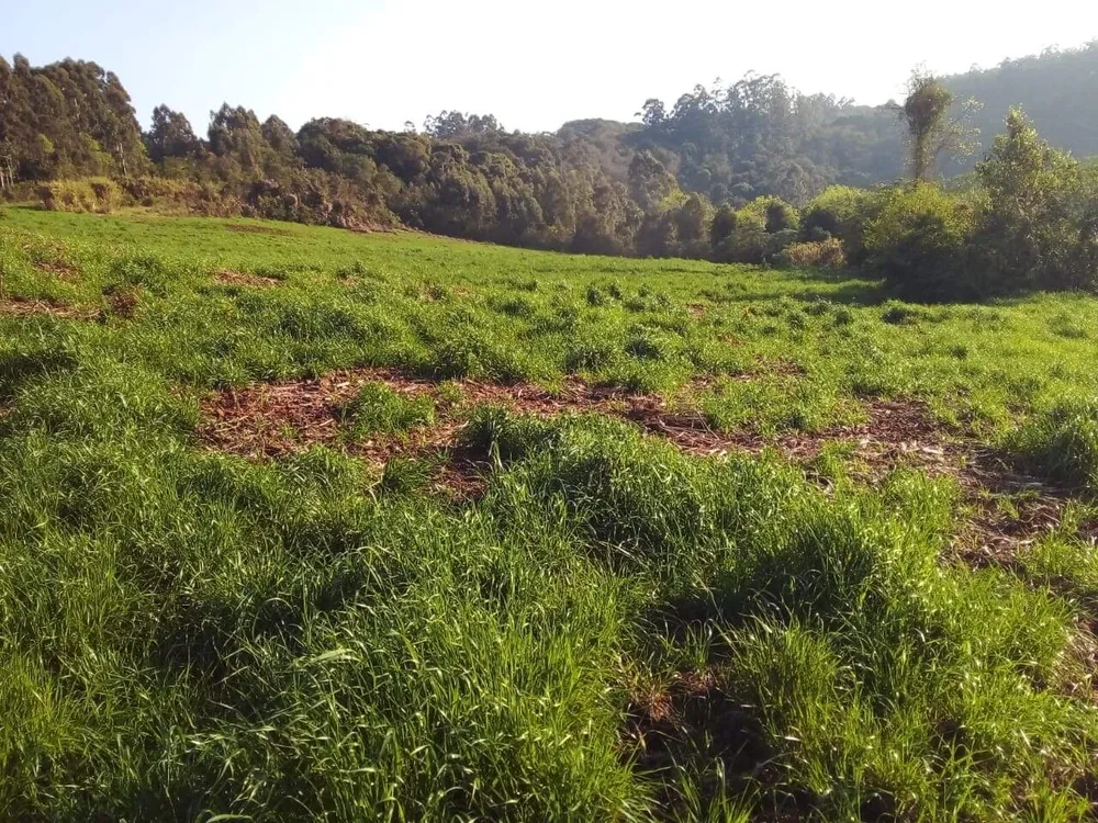 Terreno, 8 hectares - Foto 1
