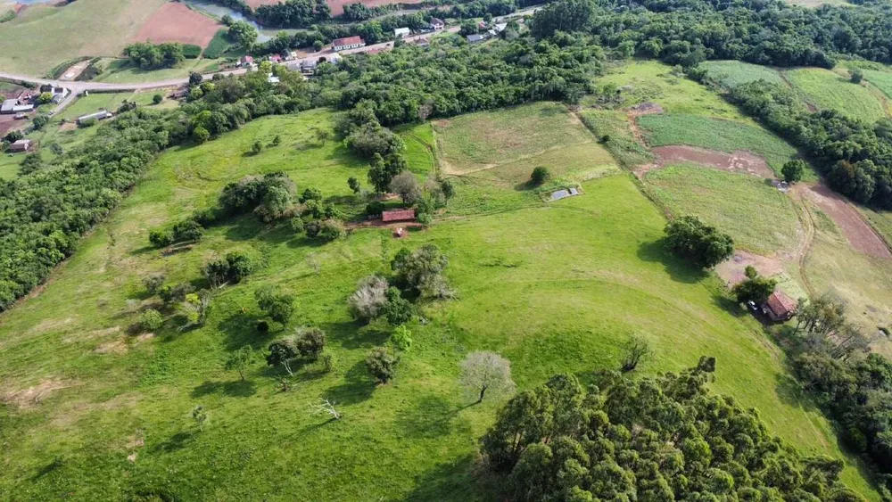Terreno, 5 hectares - Foto 4