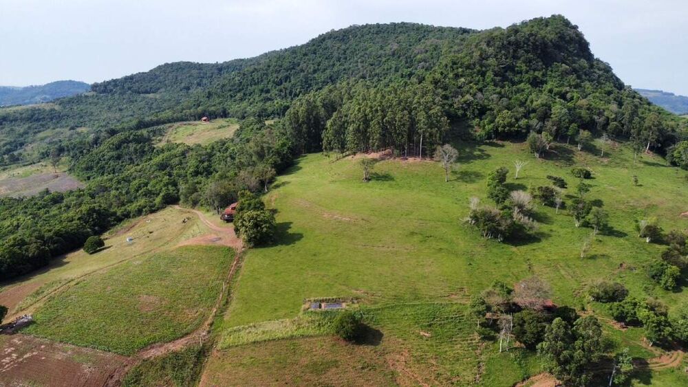 Terreno, 5 hectares - Foto 3